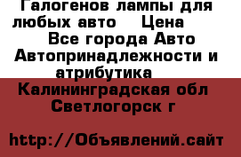 Галогенов лампы для любых авто. › Цена ­ 3 000 - Все города Авто » Автопринадлежности и атрибутика   . Калининградская обл.,Светлогорск г.
